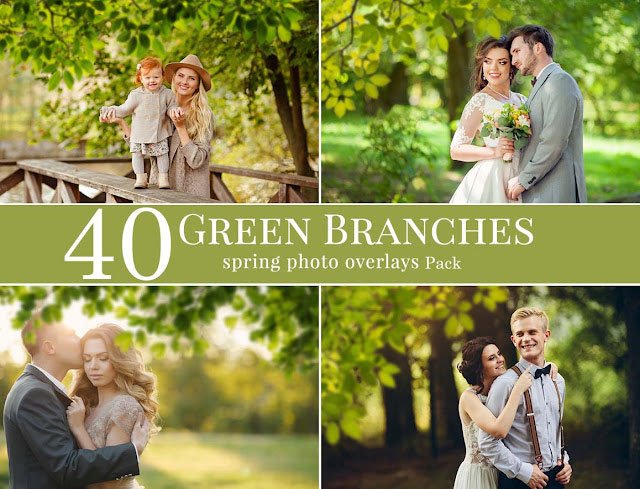 40 Green Branches Spring Overlays