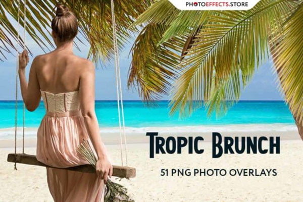 60+ Tropic Branches Photo Overlays