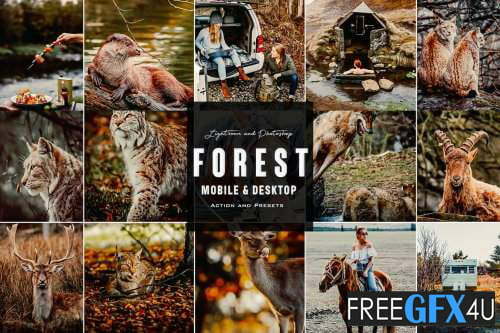 Forest Mood – Photoshop Action & Lightroom Presets