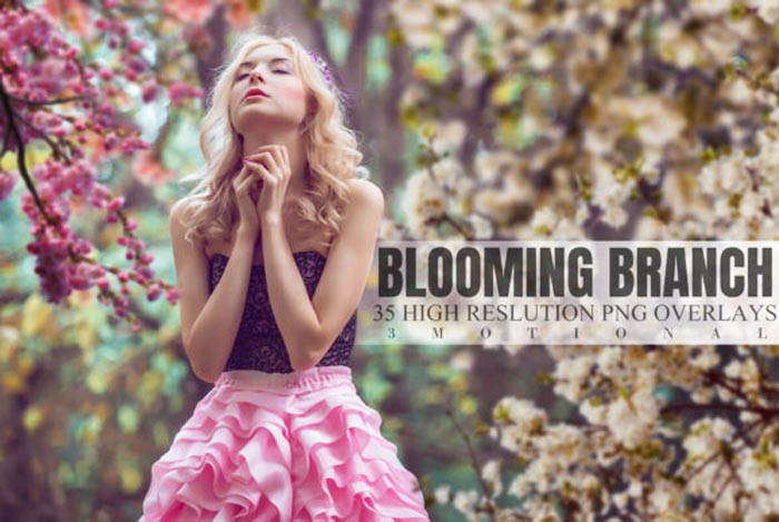 35 Blooming Branch Overlays Pack 