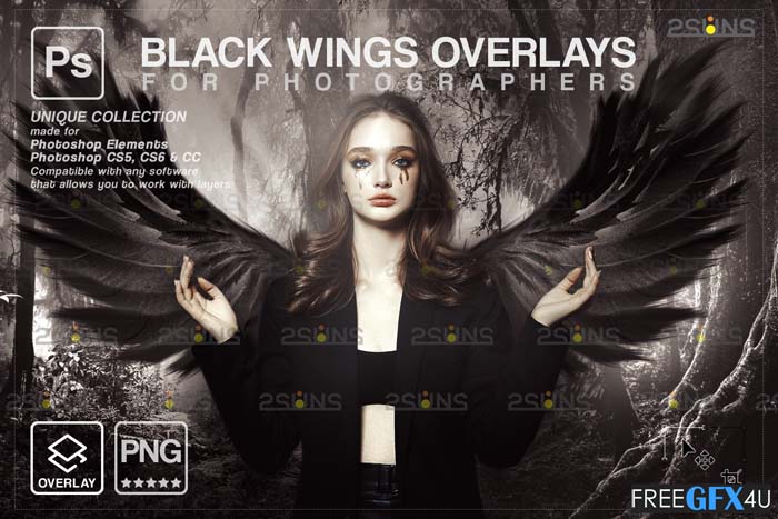 Black Angel Wings PNG Overlay