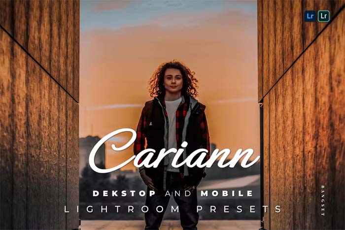 Cariann Desktop And Mobile Preset