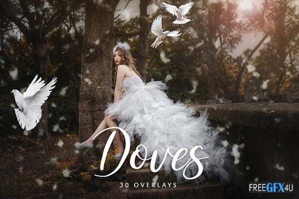 20 Doves Overlays