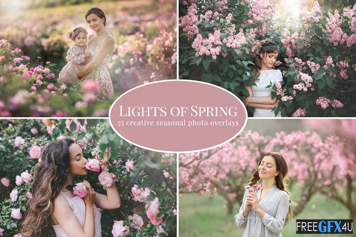 Lights Of Spring Photo Overlays