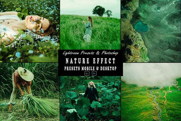 Nature Photoshop Action and Lightroom Presets