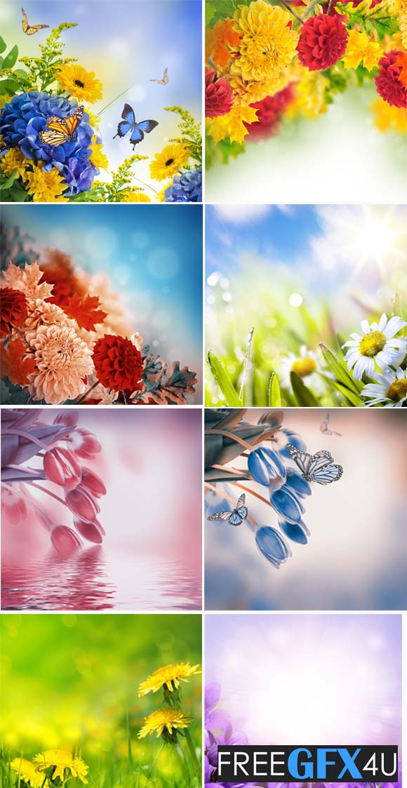 50 Flowers Backgrounds wallpapers