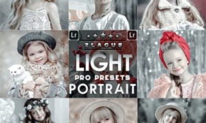 Light Portrait Presets Mobile and Desktop Lightroom