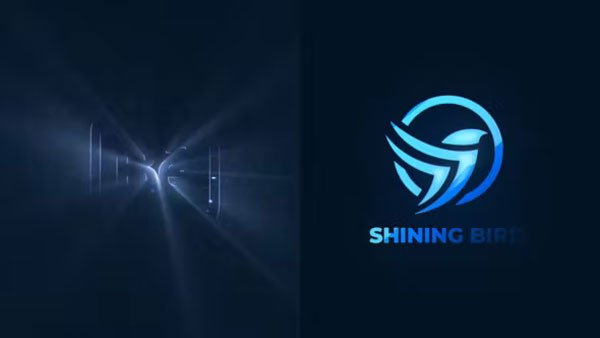 Shining Cinematic Logo Reveal