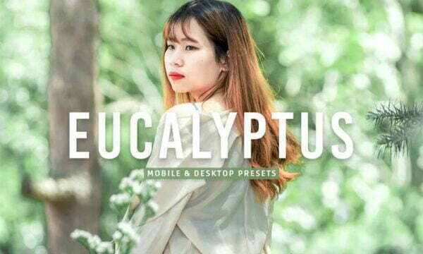 Eucalyptus Mobile & Desktop Lightroom Presets