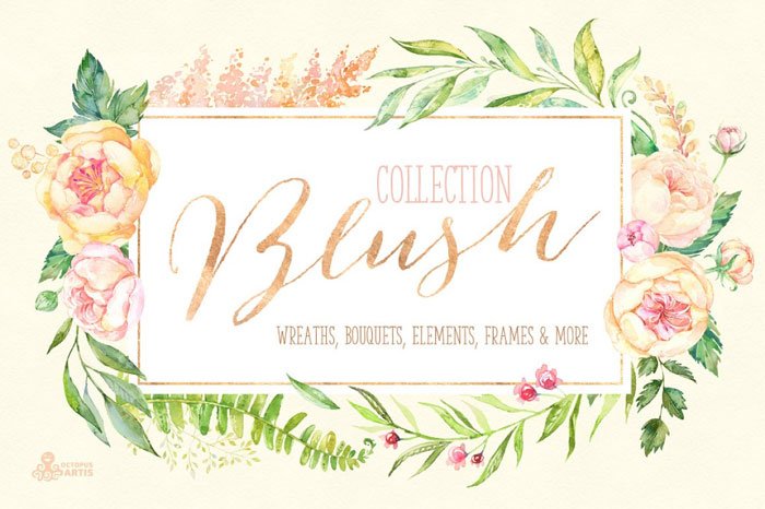 Blush Floral Collection