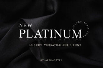 Creativefabrica - New Platinum Font