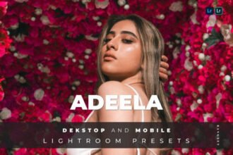 Adeela Lightroom Presets