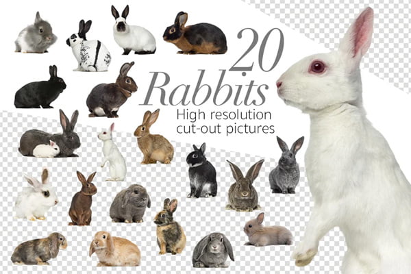 20 Rabbits Cut-Out Pictures