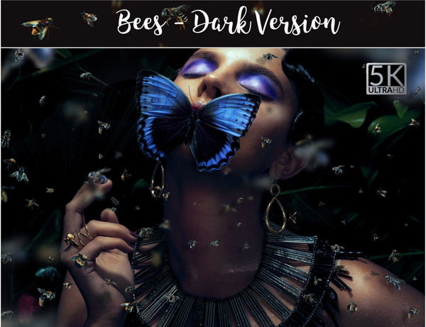 5K Bees - Dark version Overlays