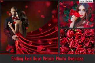 Falling Rose Petals Photo Overlays