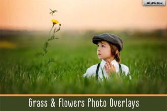 Grass & Flowers Photo Overlays