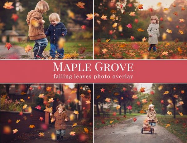 Maple Grove Falling Leaves Overlays