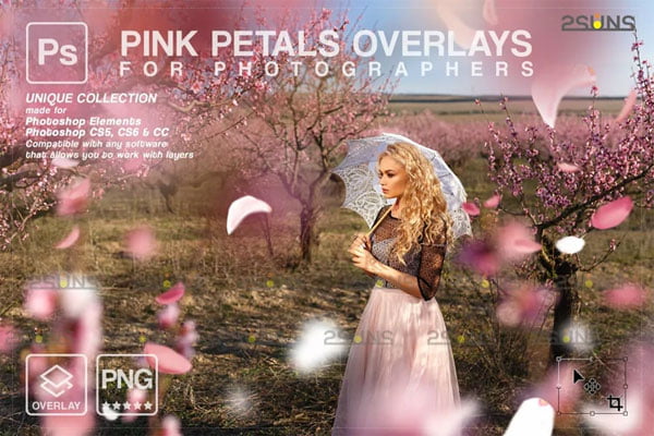 Pink Pettal Falling Rose Overlays