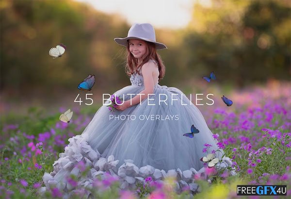 45 Butterfly Overlays