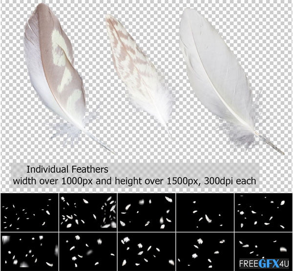 Feathers PNG Overlays