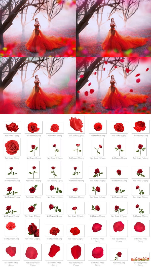 Red Flower Overlays Digital Backdrop