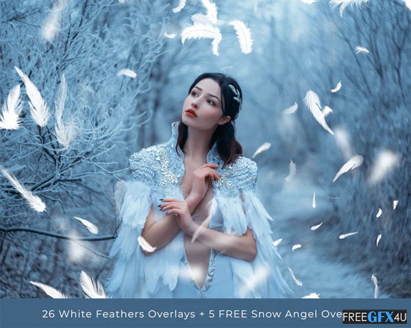 White Falling Feathers Overlays
