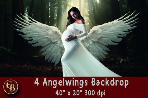 4 Angelwings Backdrops 40x20" 300dpi