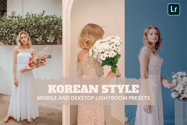 Korean Style Presets Dekstop and Mobile