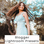 Blogger Lightroom Presets