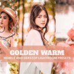 Golden Warm Lightroom Presets for Desktop and Mobile
