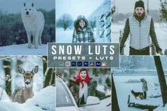 Snow Winter Presets and Luts Videos Premiere Pro