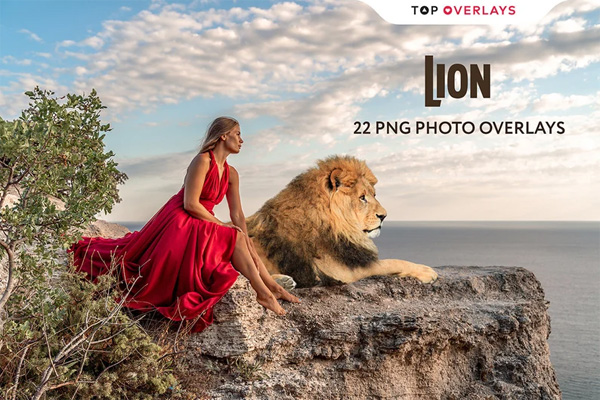 22 Lion Photo Photoshop Overlay