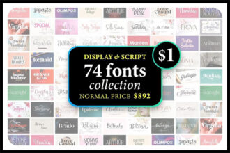 Display & Script Font Collection